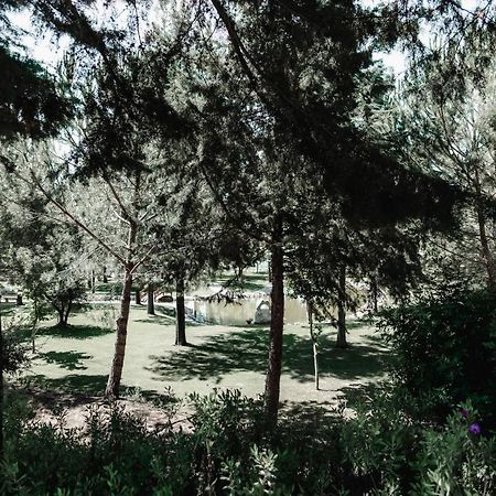 Quinta Do Cerrado Setubal Guest House Luaran gambar