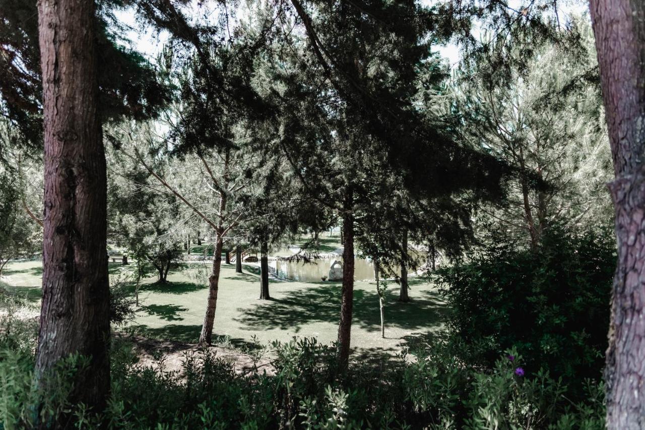 Quinta Do Cerrado Setubal Guest House Luaran gambar