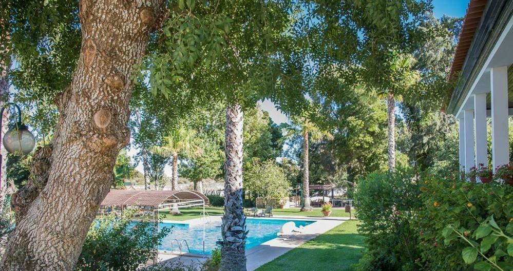 Quinta Do Cerrado Setubal Guest House Luaran gambar